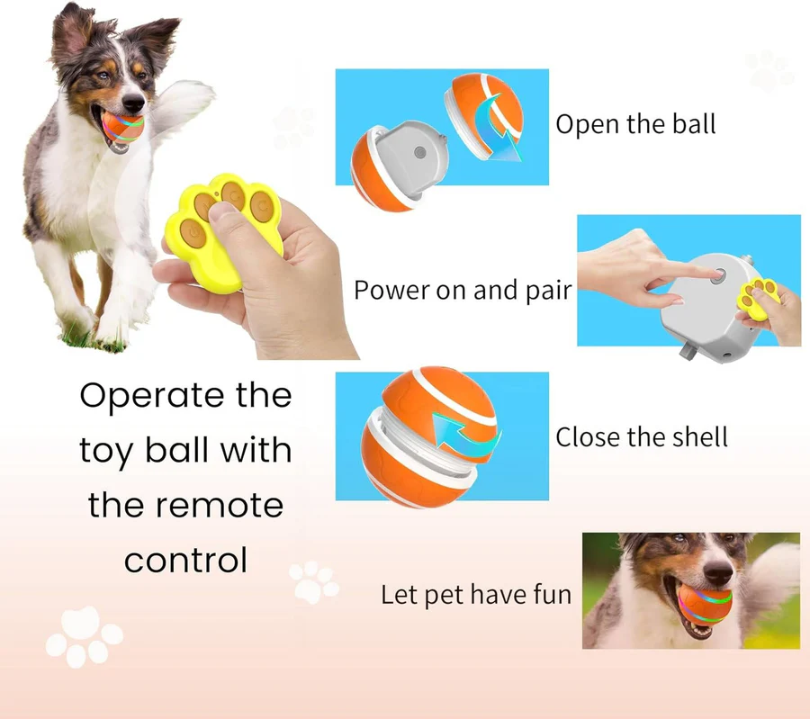 Interactive Dog and Cat Ball Toy
