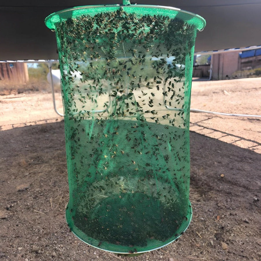 Stable Fly Trap