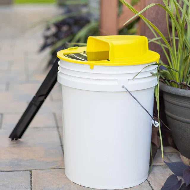 Reusable Humane Bucket Live Humane Mouse Trap