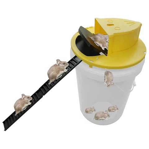 Reusable Humane Bucket Live Humane Mouse Trap