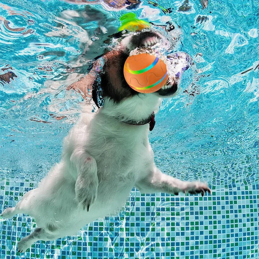 Interactive Dog and Cat Ball Toy