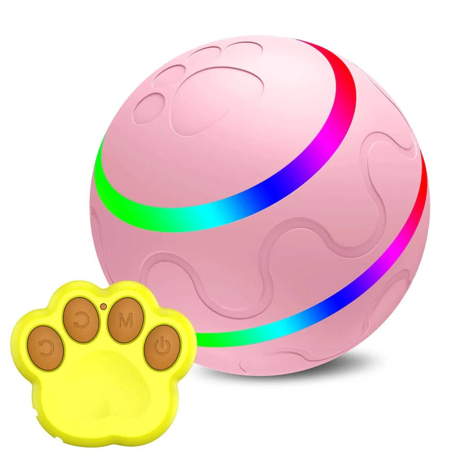 Interactive Dog and Cat Ball Toy