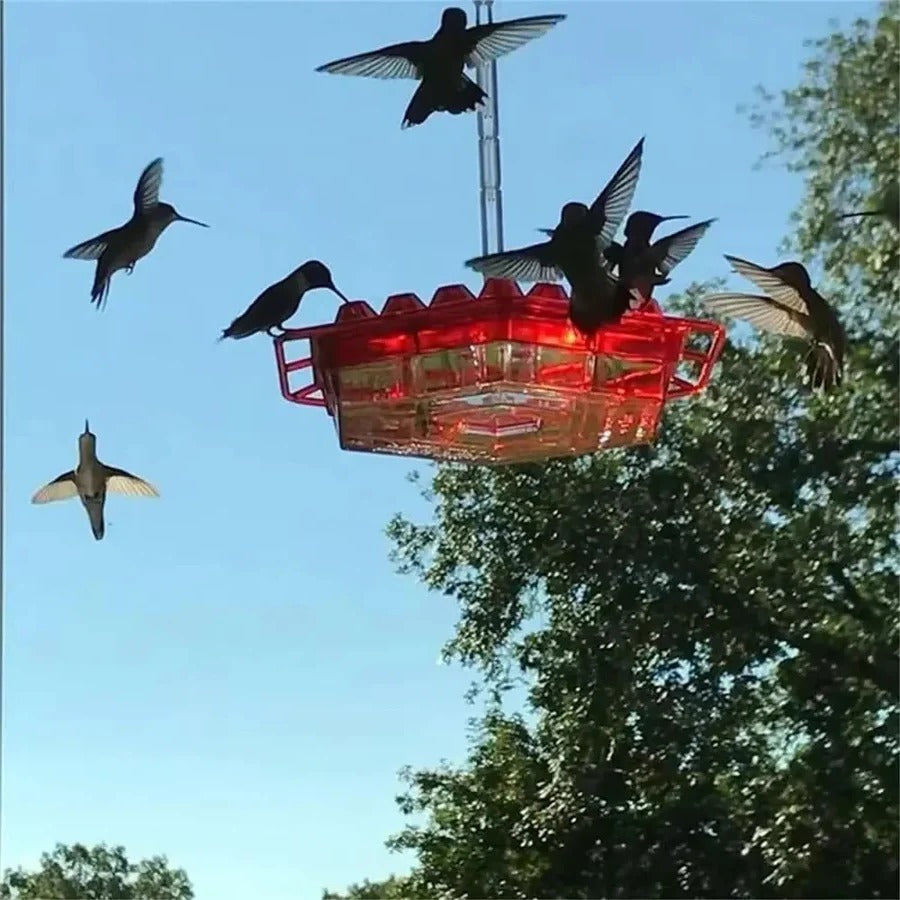 Hanging Hummingbird Feeder Leak Proof Design with Ant Protection & Perch