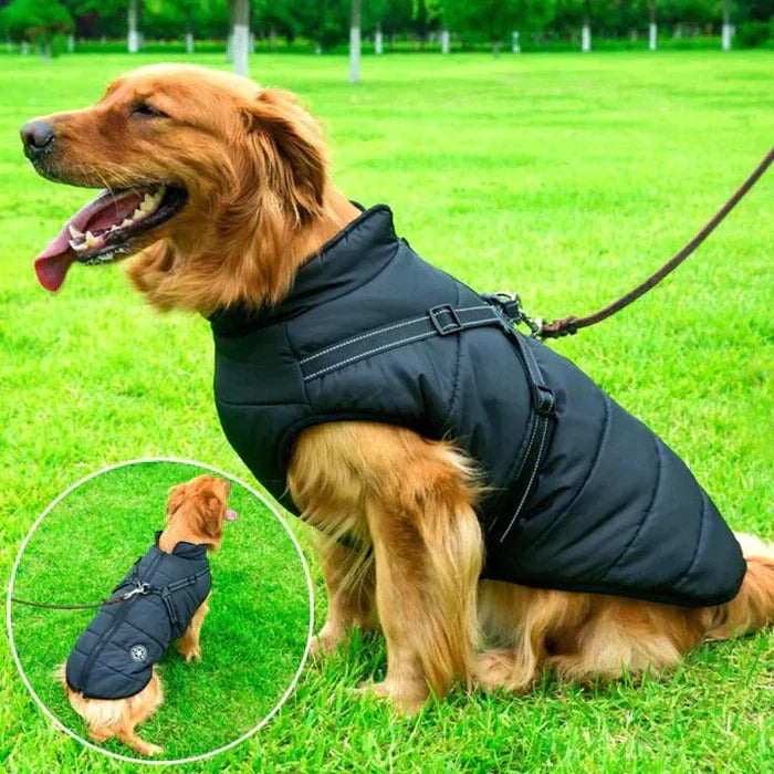 Heavy Duty Waterproof Dog Jacket Fleece Lined with Built In Leash Ring
