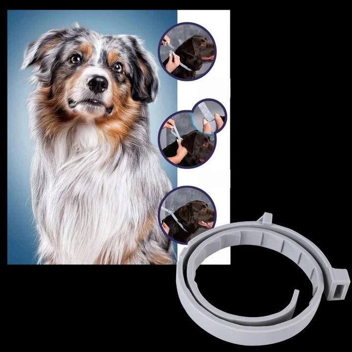Adjustable Pet Collar for Dogs and Cats with Pest Deterrent