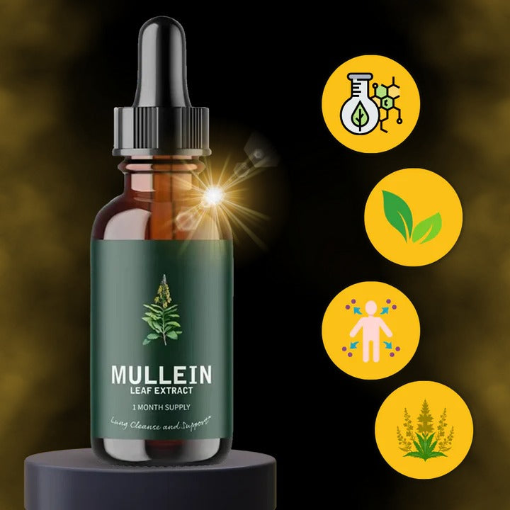 Herbal Mullein Extract with Chlorophyll