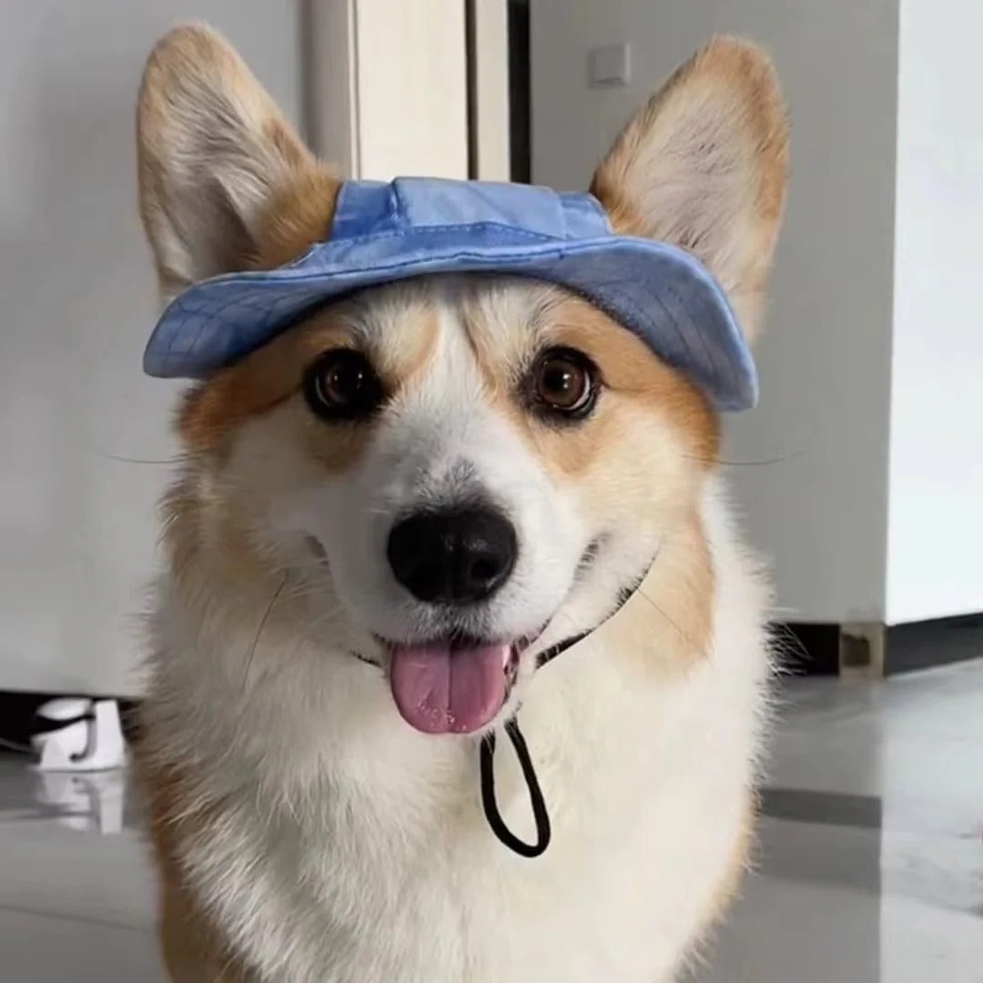 Pet Sun Hat with Adjustable Strap