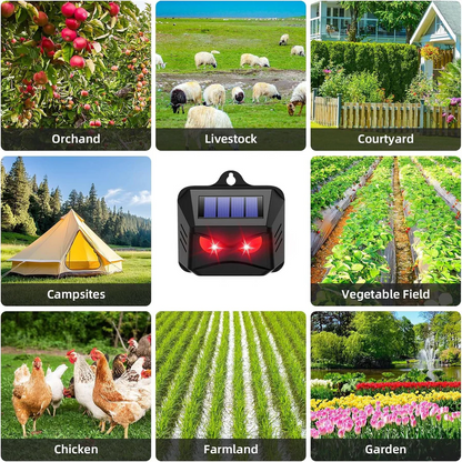 Solar Powered Ultrasonic Animal Repellent, Set of 2