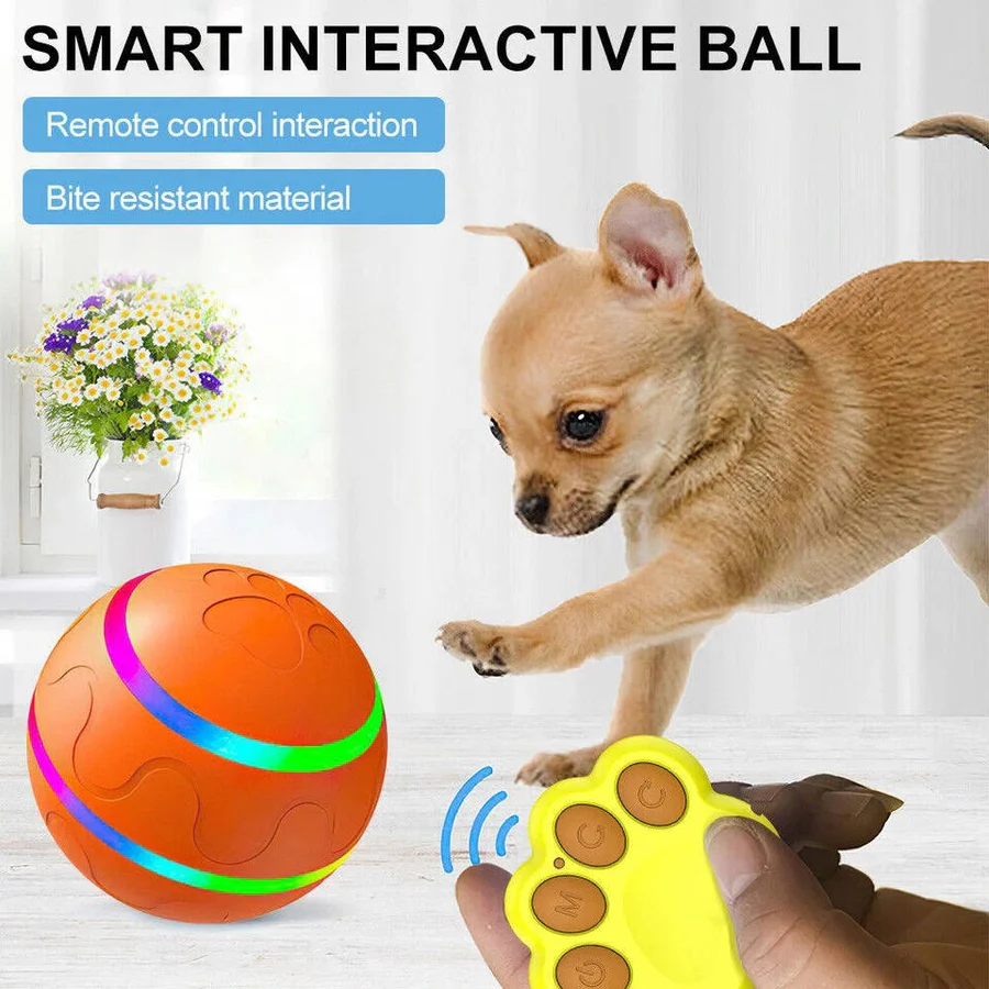 Interactive Dog and Cat Ball Toy