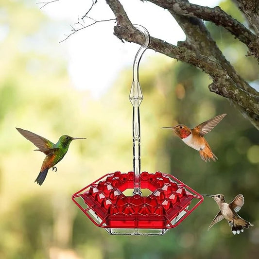 Ant Proof Hummingbird Feeder with Outdoor Hanging Perch