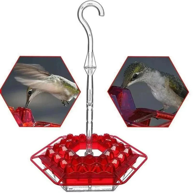 Ant Proof Hummingbird Feeder with Outdoor Hanging Perch