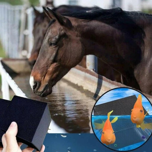 Water Purifier Bio Cube for Livestock Aquarium & Horse Trough