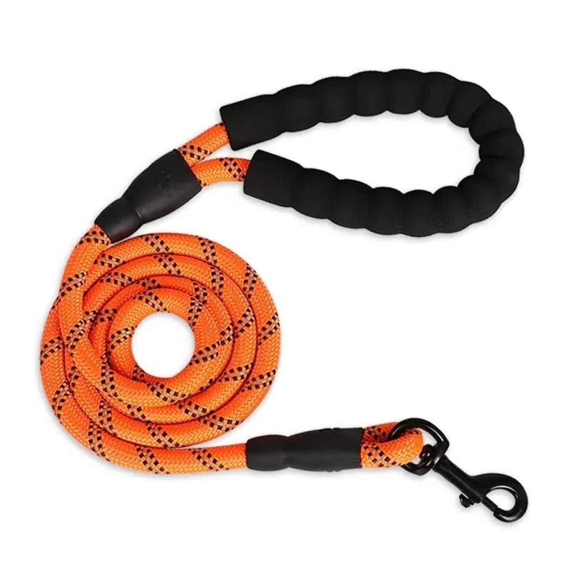 Reflective Dog Leash with Padded Handle