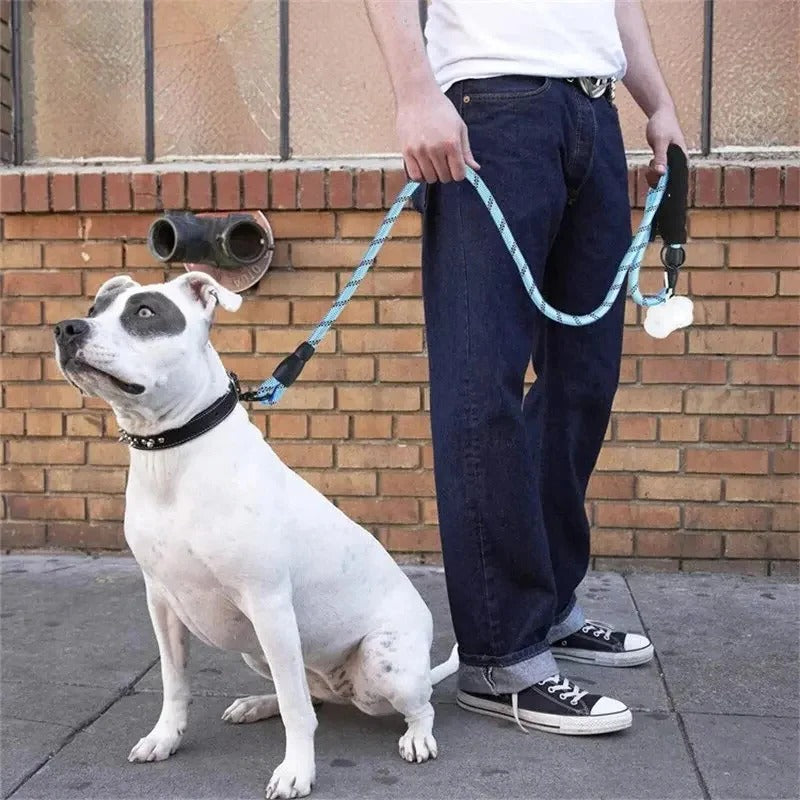 Reflective Dog Leash with Padded Handle
