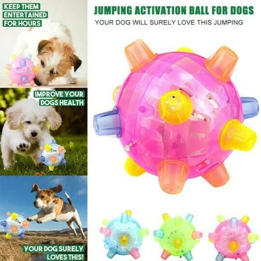 Jumping Activation Ball for Dogs, Interactive Bouncing Toy