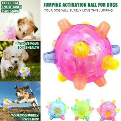 Jumping Activation Ball for Dogs, Interactive Bouncing Toy