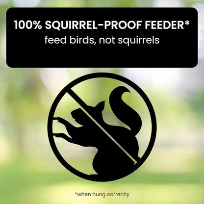 Weather Resistant Squirrel Proof Bird Feeder for Outdoor Use