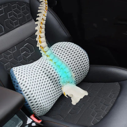 Ergonomic Lumbar Support Cushion for Office Chair and Car Seat