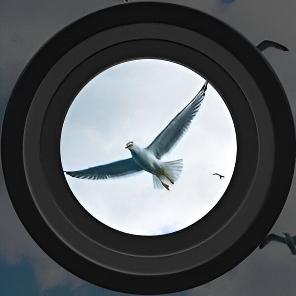 High Power Night Vision Binoculars with Digital Day and Night Viewing