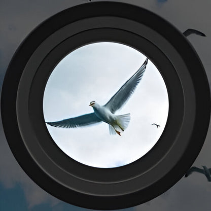 High Power Night Vision Binoculars with Digital Day and Night Viewing