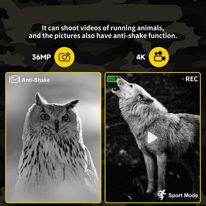 Digital Night Viewing Binoculars with Zoom