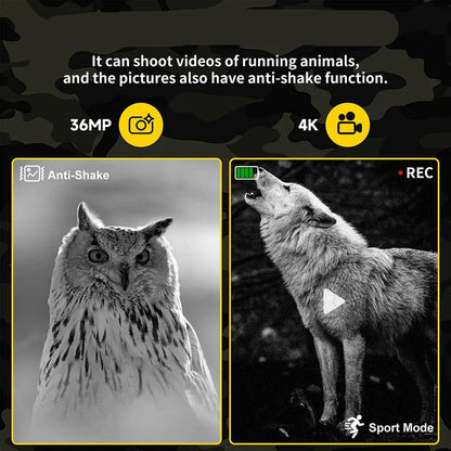 Digital Night Viewing Binoculars with Zoom