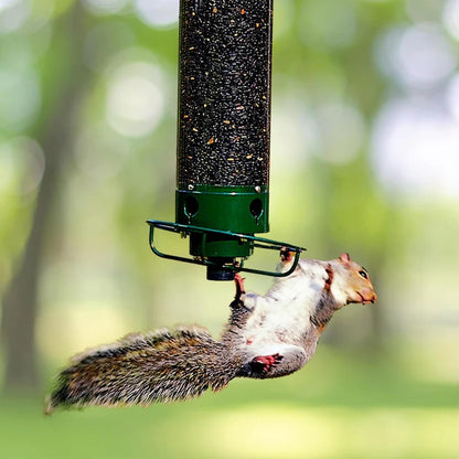 Bird Feeder with Squirrel Deterrent Features