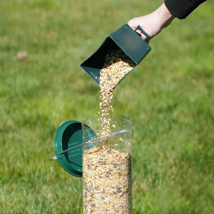 Bird Feeder with Squirrel Deterrent Features