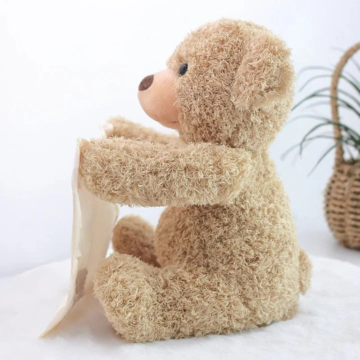 Peek A Boo Teddy Bear Plush Toy