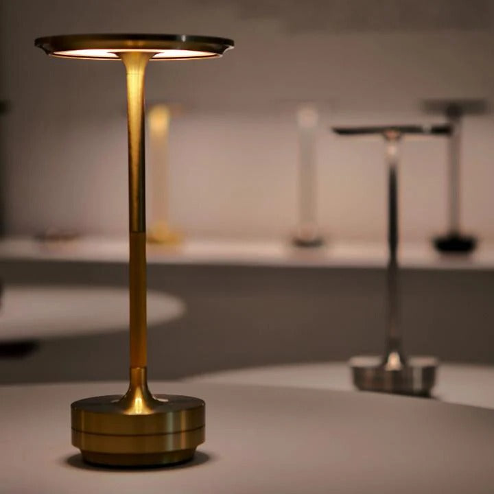 Rechargeable Cordless Table Lamp with 4 Level Touch Control