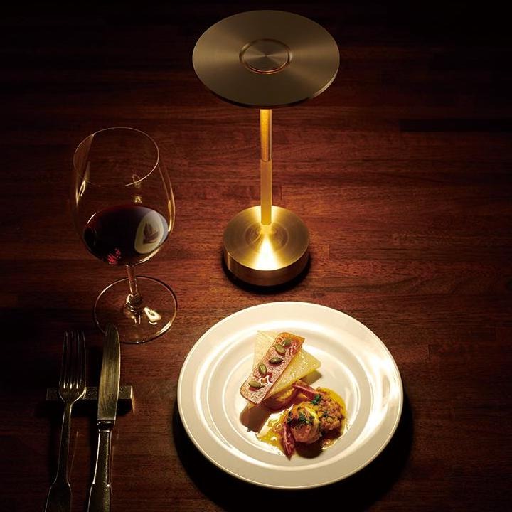 Rechargeable Cordless Table Lamp with 4 Level Touch Control