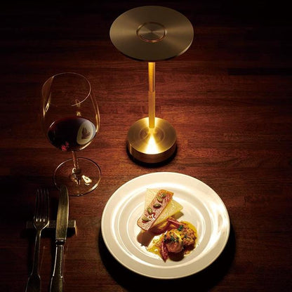 Rechargeable Cordless Table Lamp with 4 Level Touch Control