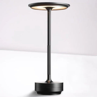 Rechargeable Cordless Table Lamp with 4 Level Touch Control
