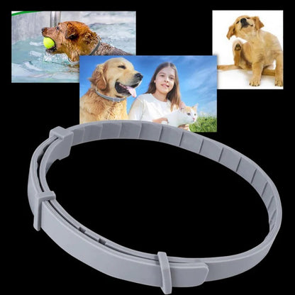 Adjustable Pet Collar for Dogs and Cats with Pest Deterrent
