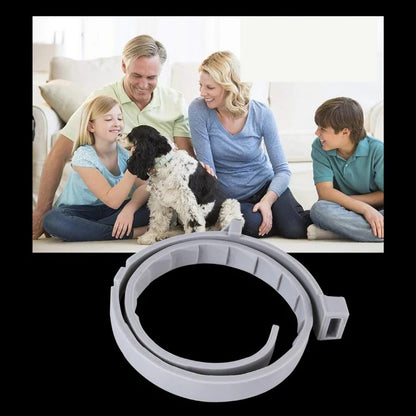 Adjustable Pet Collar for Dogs and Cats with Pest Deterrent
