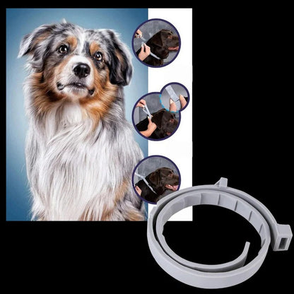 Adjustable Pet Collar for Dogs and Cats with Pest Deterrent