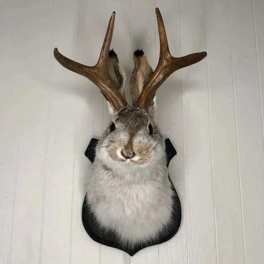 Hanging Jackalope Wall Art