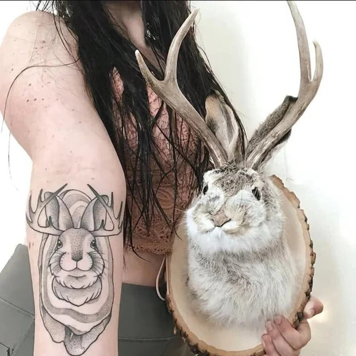 Hanging Jackalope Wall Art