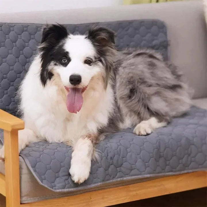 Dog Pee Pad with Reusable Four Layer Construction and TPU Base