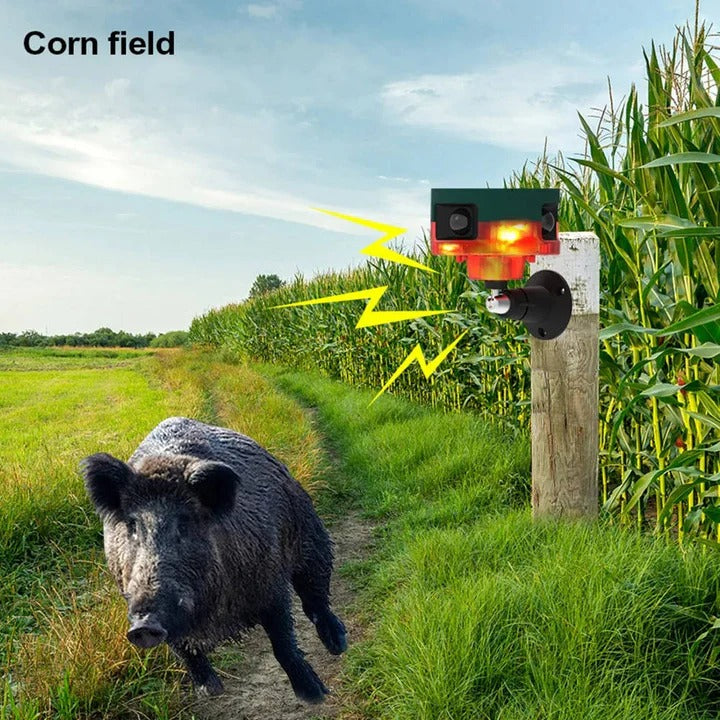 Solar Bird and Pest Deterrent with 360 Degree Coverage