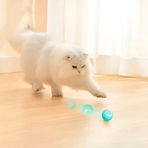 Automatic Rolling Pet Ball for Cats and Dogs with USB Charging