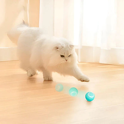 Automatic Rolling Pet Ball for Cats and Dogs with USB Charging