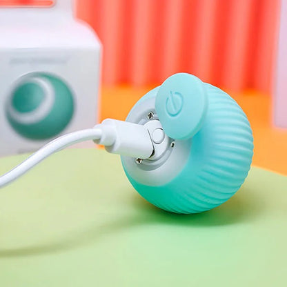 Automatic Rolling Pet Ball for Cats and Dogs with USB Charging