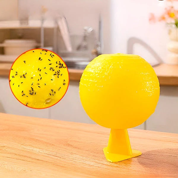 Hanging Fly Trap with Adhesive Sticky Layer, Set of 6