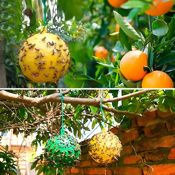 Hanging Fly Trap with Adhesive Sticky Layer, Set of 6