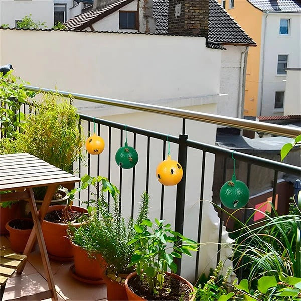 Hanging Fly Trap with Adhesive Sticky Layer, Set of 6