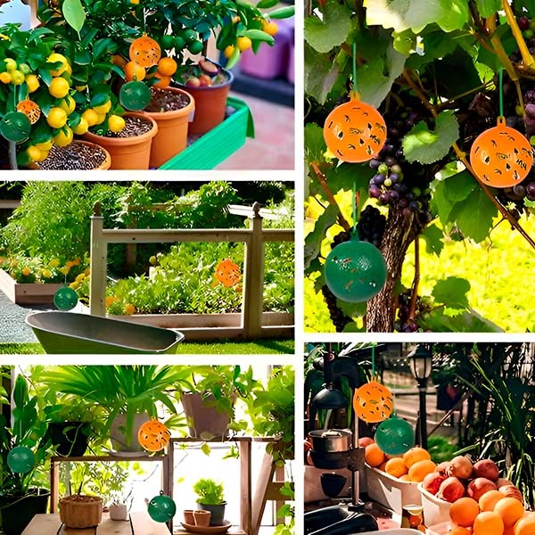 Hanging Fly Trap with Adhesive Sticky Layer, Set of 6