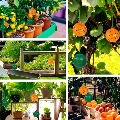 Hanging Fly Trap with Adhesive Sticky Layer, Set of 6