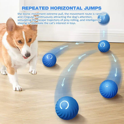 Motion Activated Rolling Ball Moving Toy for Pets