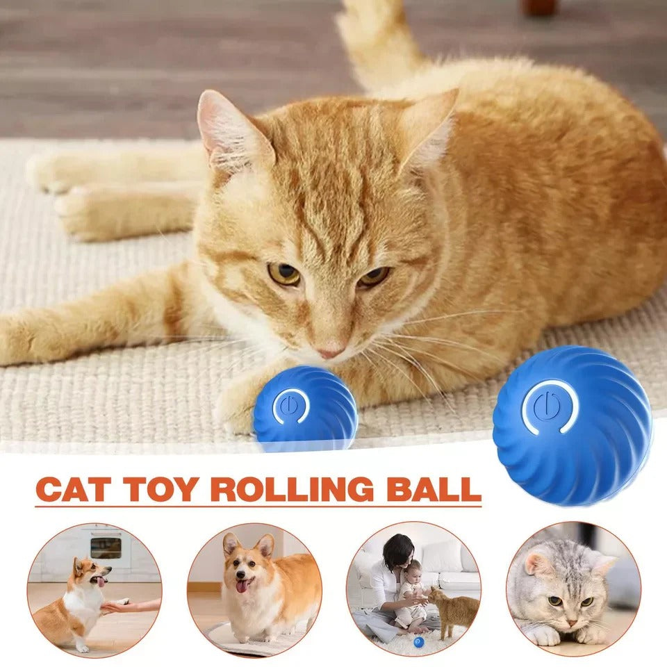 Motion Activated Rolling Ball Moving Toy for Pets